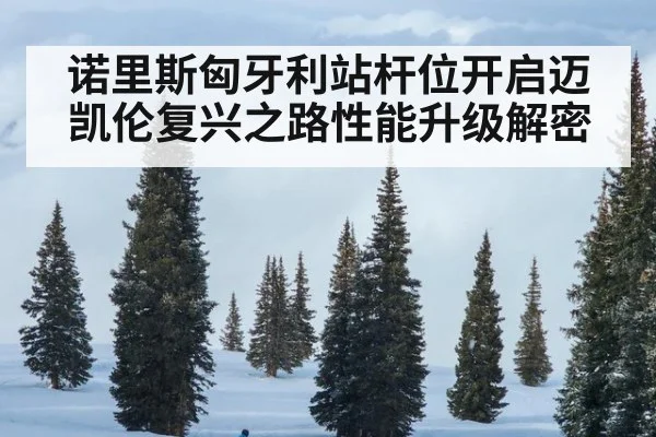 诺里斯匈牙利站杆位开启迈凯伦复兴之路性能升级解密